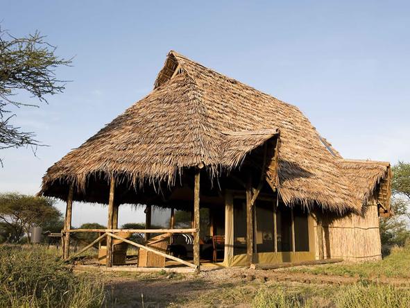 Kambi ya Tembo - Camp